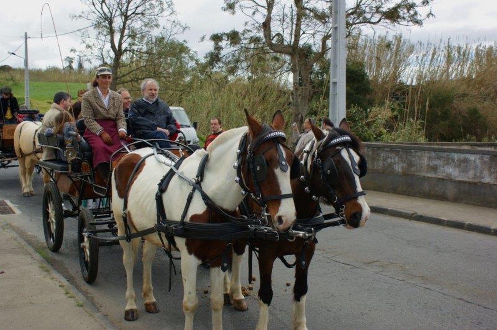 Horsedrawn Carriage 2 - Quinta das Raiadas - São Miguel Island