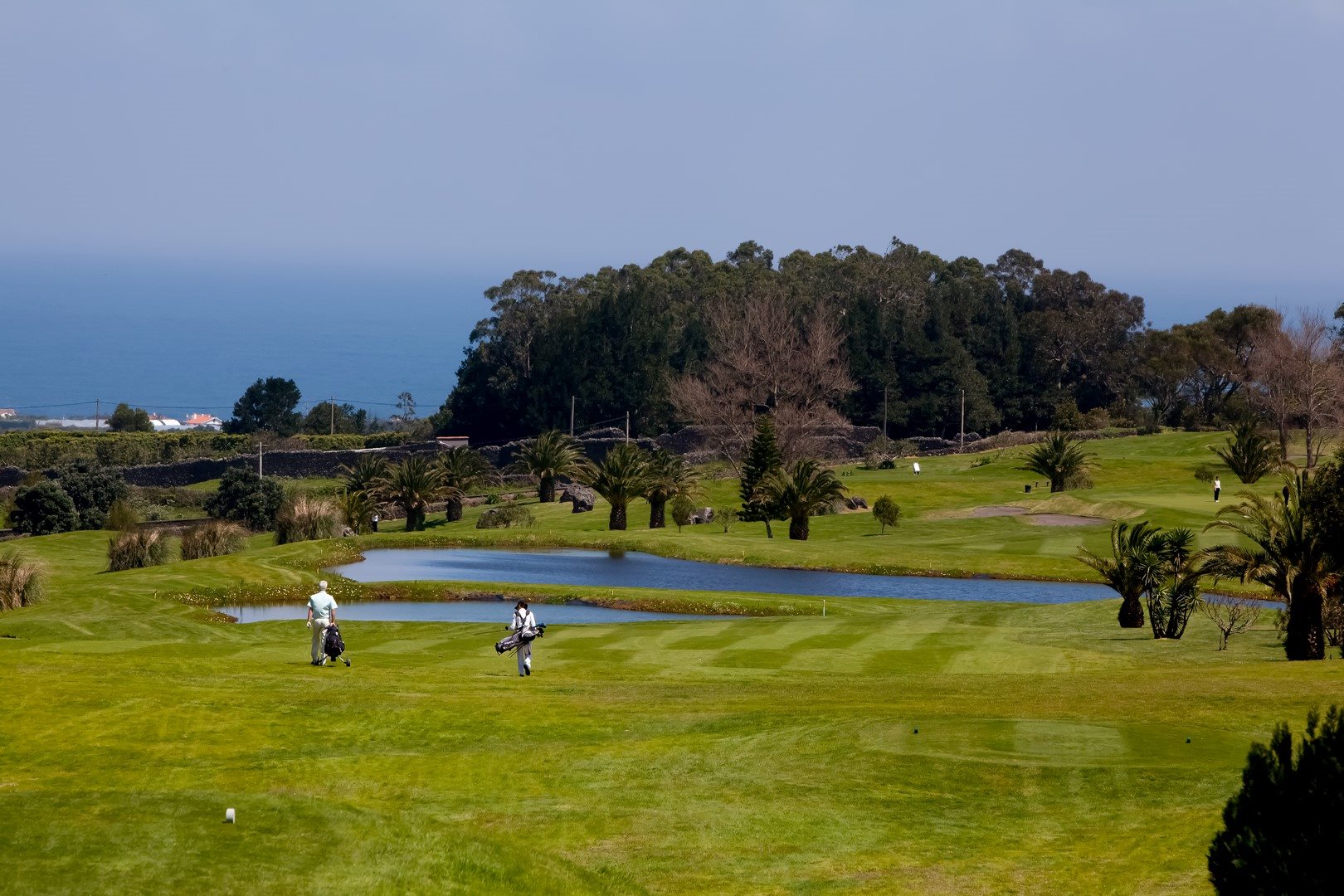 Batalha Golf Course 3 - São Miguel Island - edited