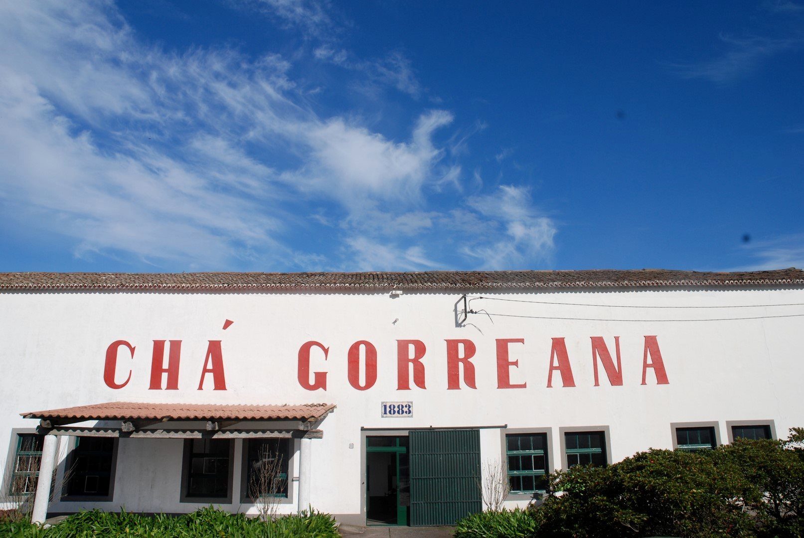 Gorreana Tea Factory - Bike Tour - São Miguel Island